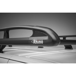 Galerie Iveco Daily L3H3 - Portes Battantes - Aluminium Noir