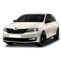 Accessoires de portage pour véhicule Skoda Rapid