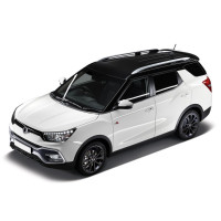 Accessoires de portage pour véhicule Ssangyong XLV