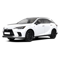 Accessoires de portage pour véhicule Lexus RX 450H