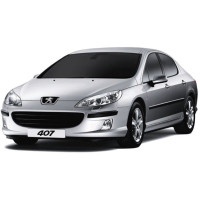 Barres de toit pour Peugeot 407