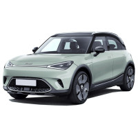 Barres de toit pour Smart