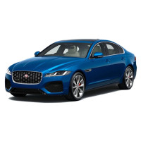 XF