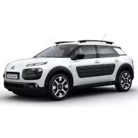 Cactus de 2014 à 2020